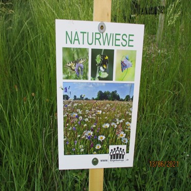 Insektenwiese bei der Kirche St. Valentin Ockfen