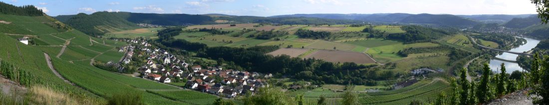 Ockfen 2009